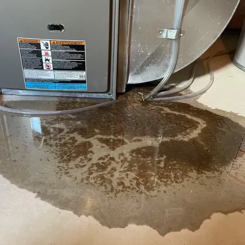 Appliance Leak Cleanup in Oakville, MO